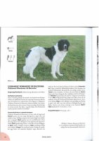 HUNDAR -Enciclopedie canina 