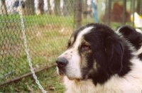 In Memoriam JIMMY DE HUMOR