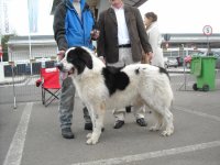 Barsan de plai Birgauan